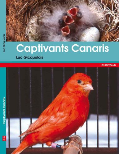 captivants_canaris.jpg