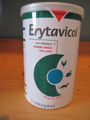 erytavicol_1.jpg