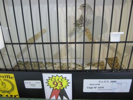 clcc_octobre_2009__183.jpg