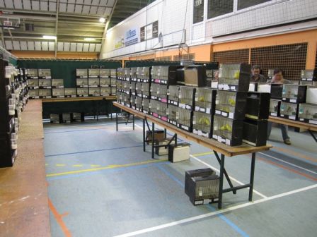 clcc_octobre_2009__257.jpg